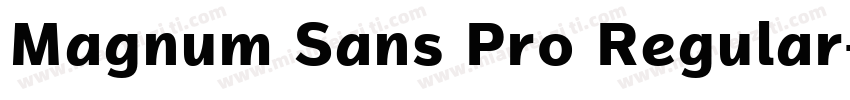 Magnum Sans Pro Regular字体转换